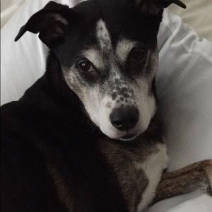 Meet your Posher, Jamie